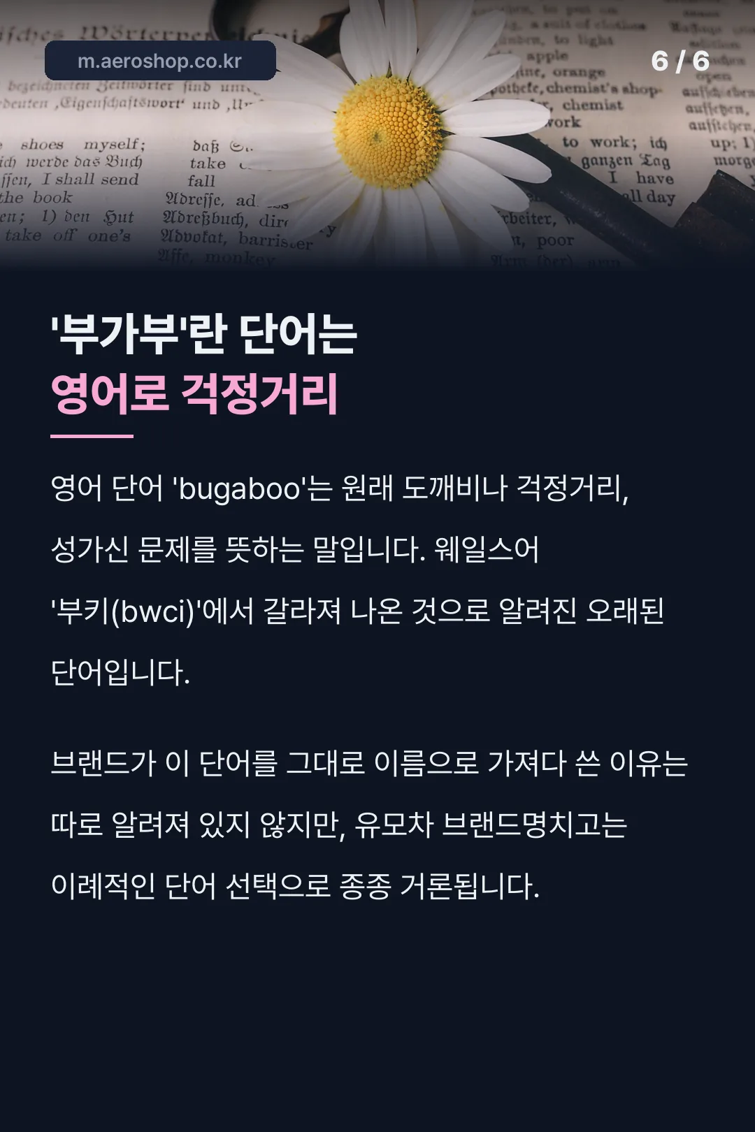 '부가부'라는 단어의 뜻