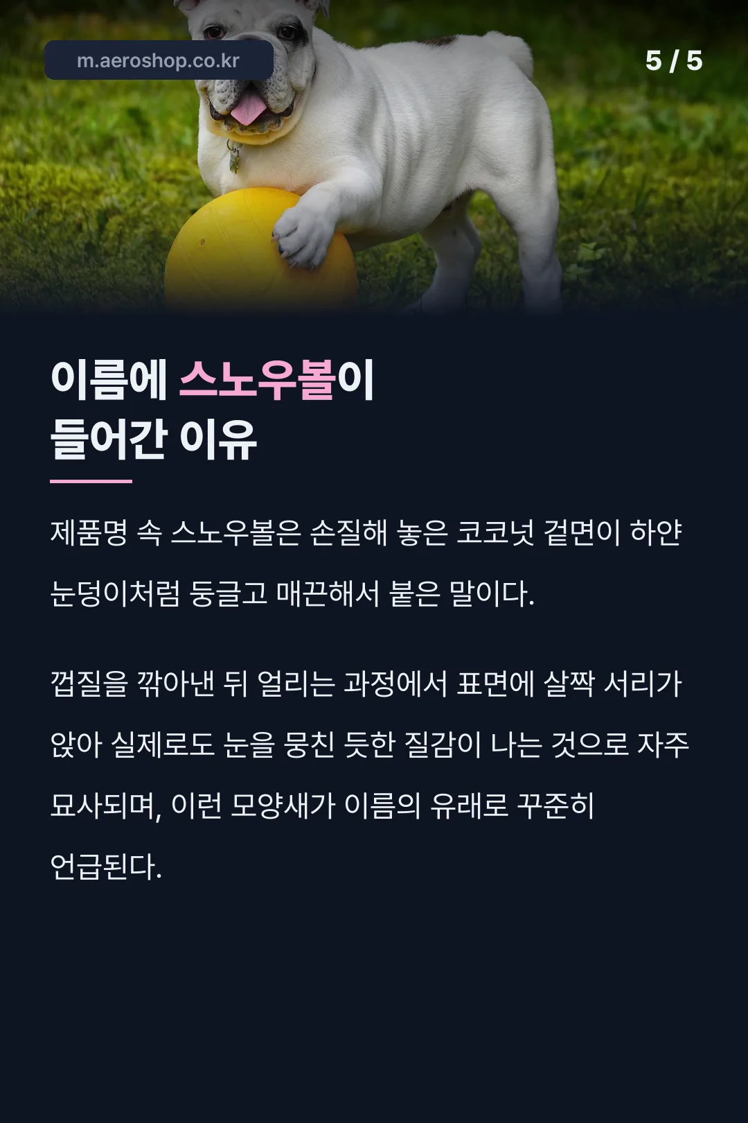 스노우볼이라는 이름의 유래