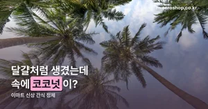 이마트 코코넛에그, 조이비오 스노우볼 코코넛의 정체와 가격