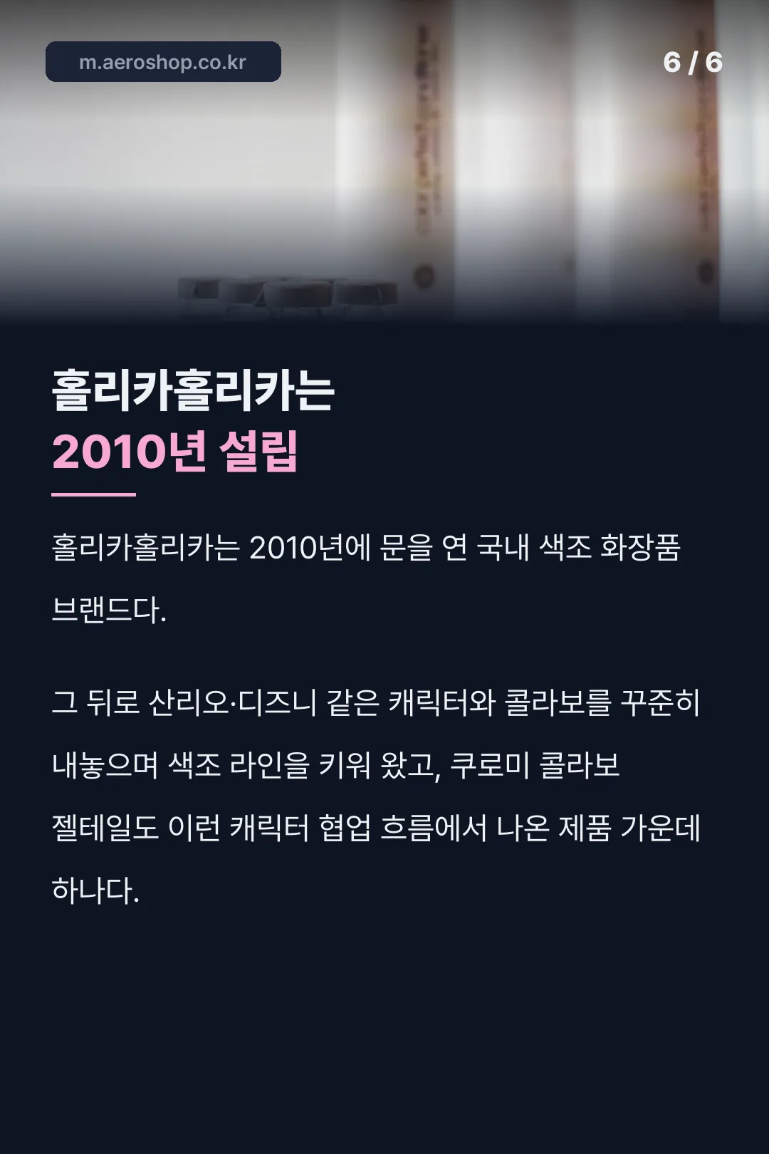 홀리카홀리카 2010년 설립
