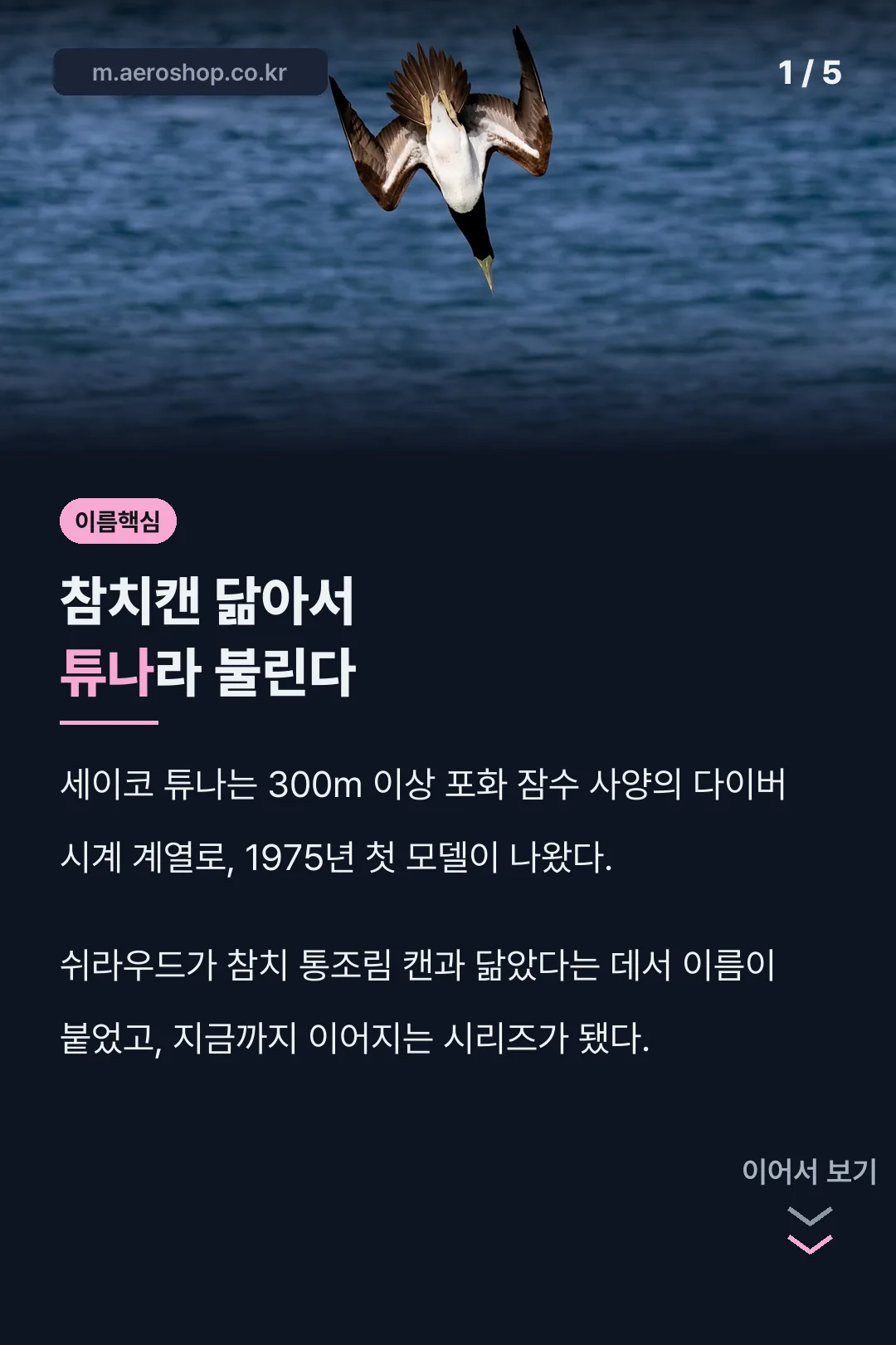 세이코 튜나 이름 유래