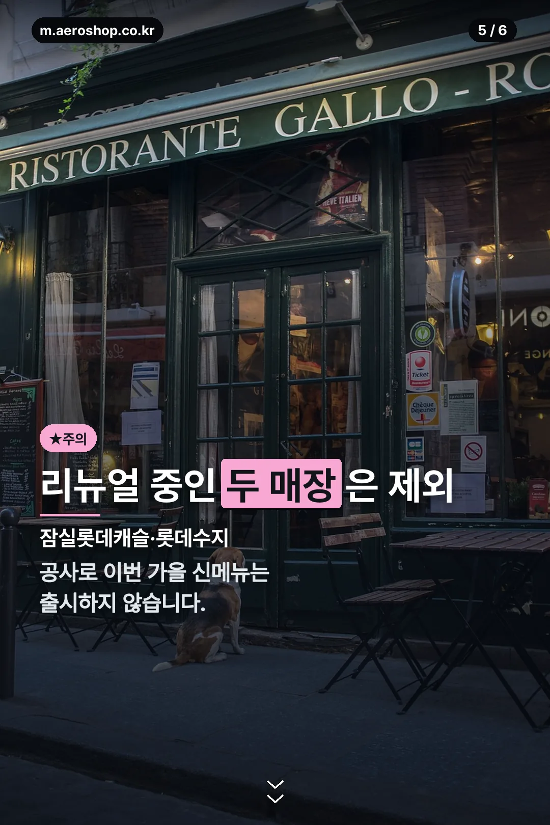 신메뉴 미출시 매장