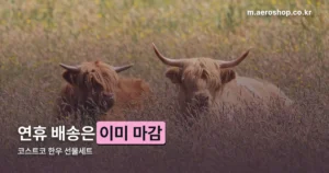 코스트코 한우 선물세트 정리 썸네일
