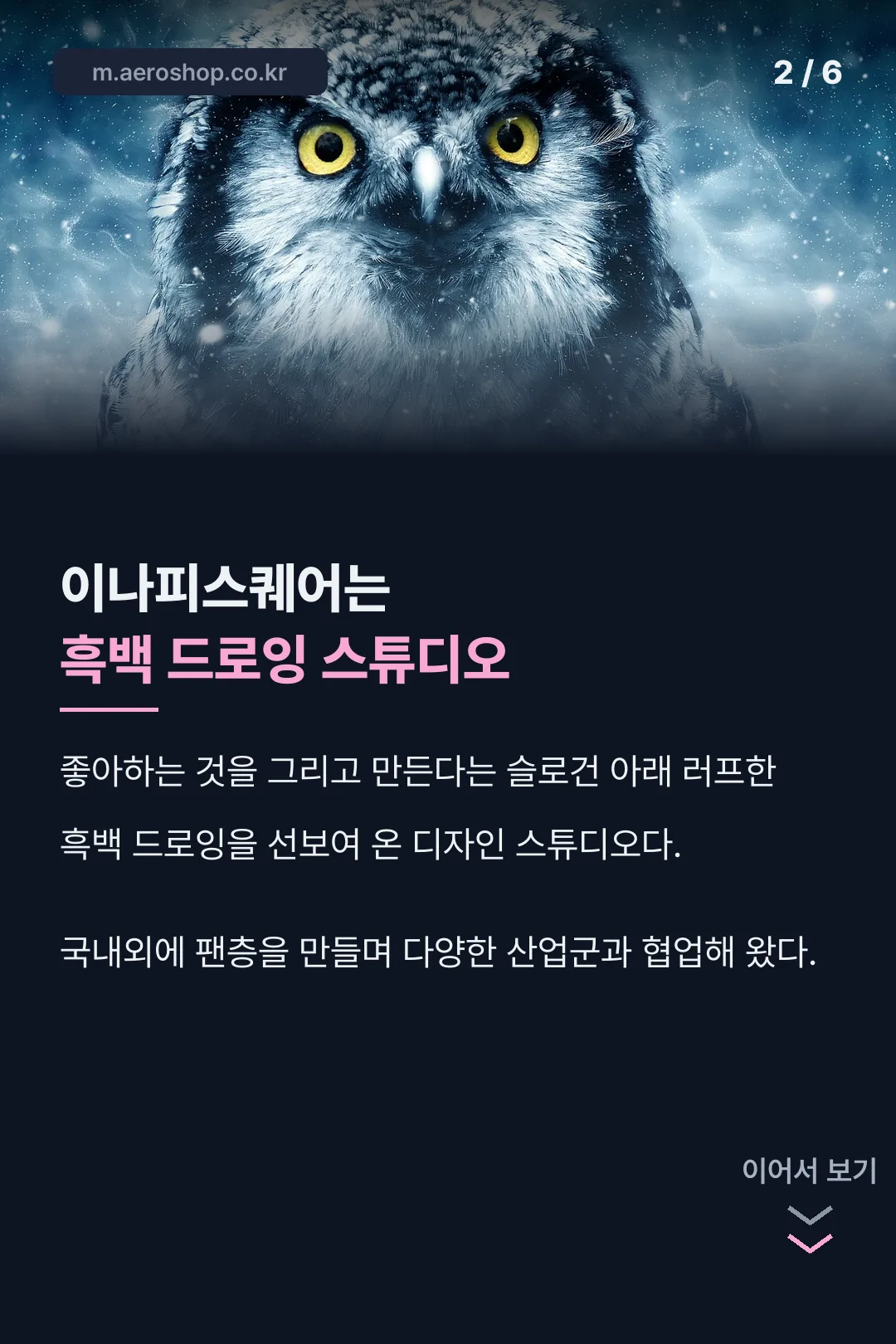 이나피스퀘어 브랜드