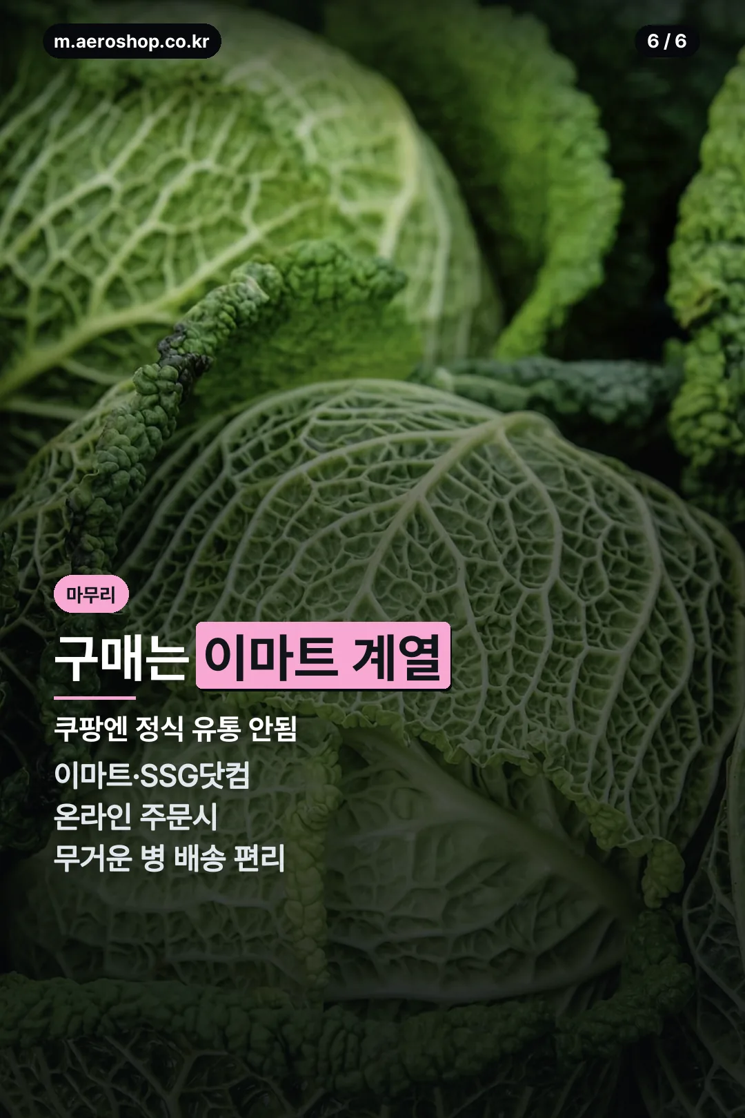 구매처 안내