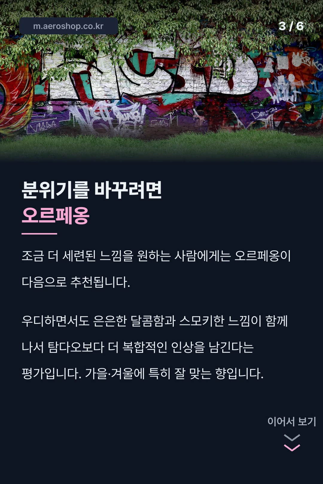 오르페옹 비교