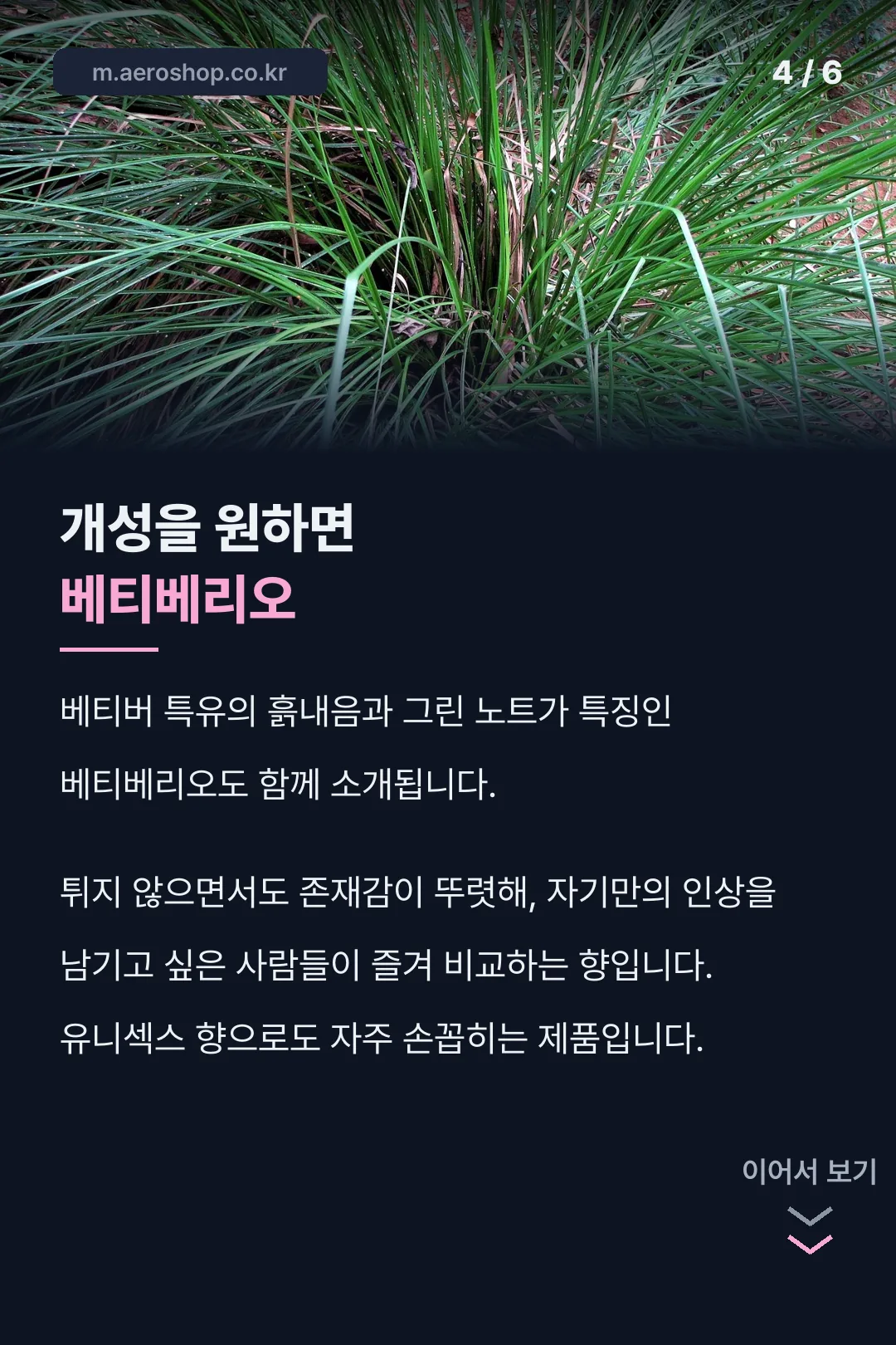 베티베리오 비교