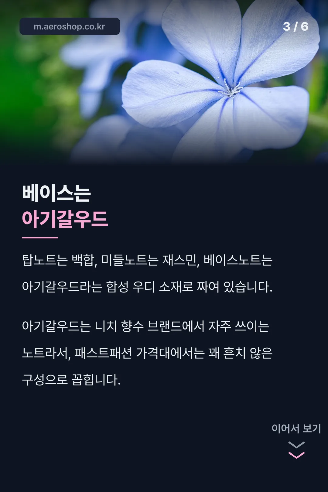 백합·재스민·아기갈우드 향조